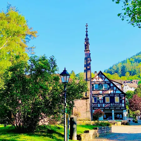 Apartamento Schoene In Ruhiger Lage Tg Bad Herrenalb